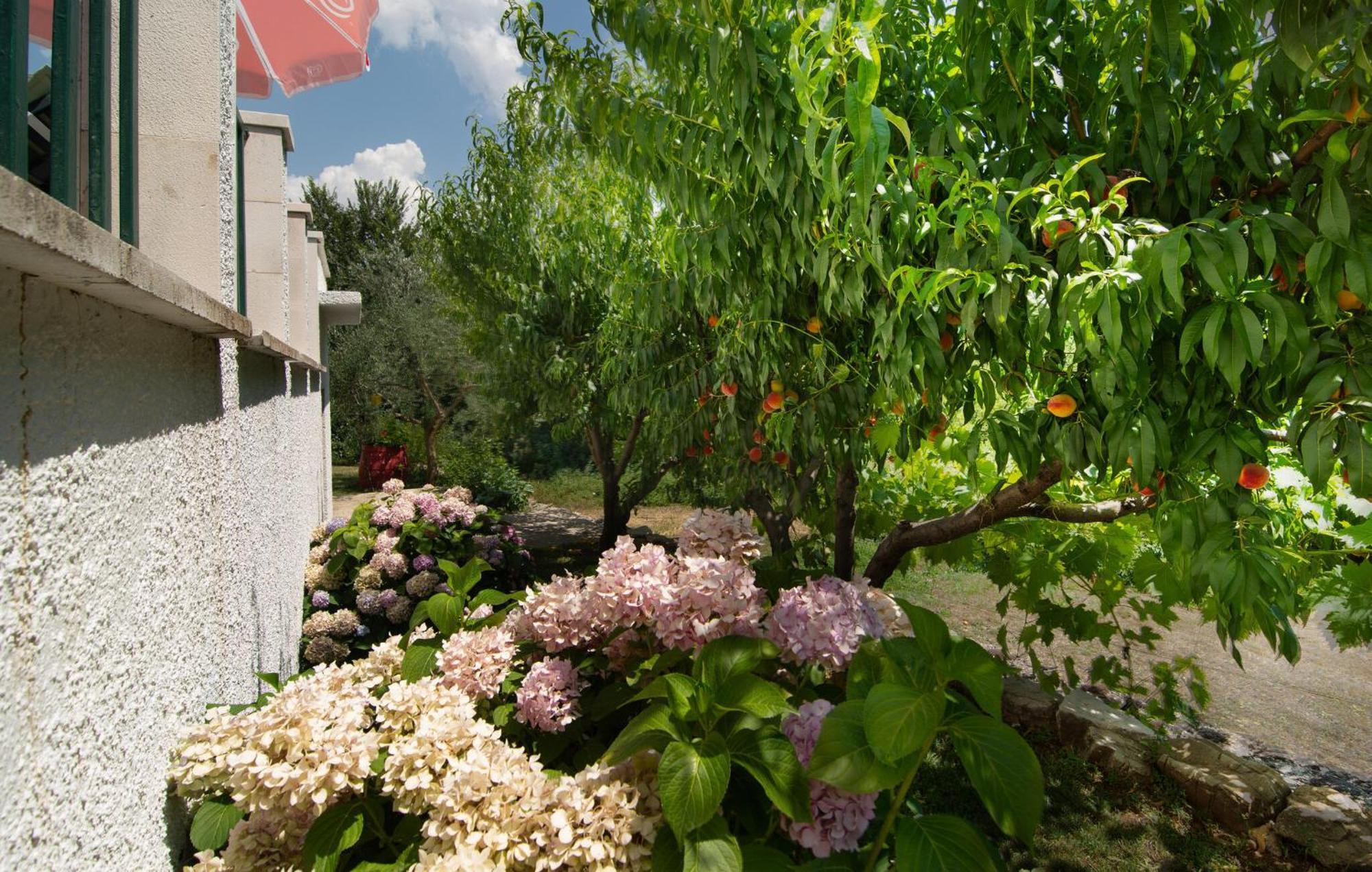 Cozy Home In Podaspilje With Kitchen Svinisce Exterior photo